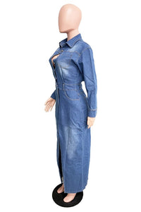 Josie Denim Dress